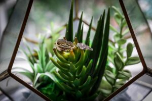 wedding ring photo